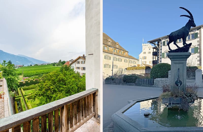Maison-tour historique avec cinq unités d'habitation dans un emplacement magnifique (12)