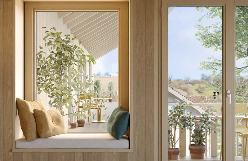 Cozy living room with large windows overlooking a balcony or terrace, wooden walls and ceiling, cushioned window seat, potted plants, and a view of the outdoor greenery
