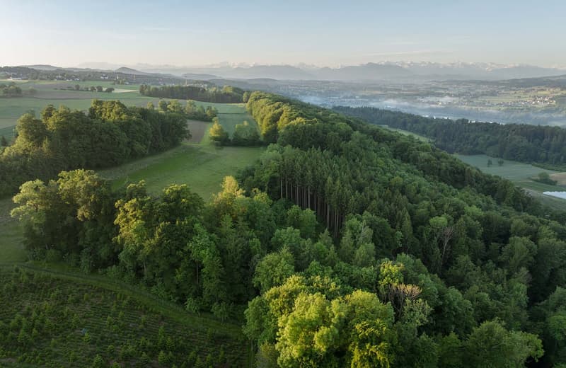 The image shows a scenic aerial view of a lush, green landscape. The scene features rolling hills, forests, and fields, with a lake or river visible in the distance. The landscape appears to be in a rural or mountainous region, with a hazy, distant skylin