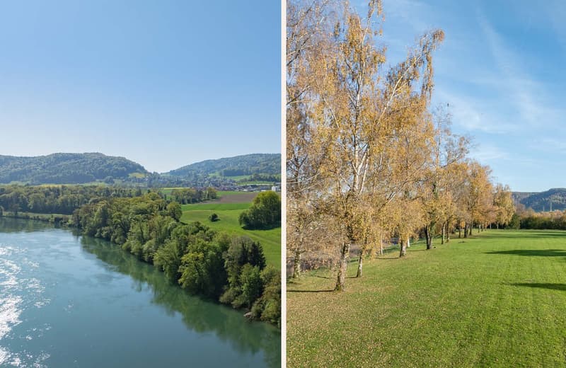 Une propriété d'exclusivité rare sur le Haut-Rhin (9)
