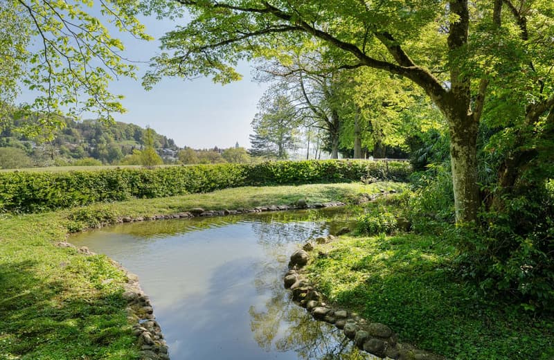 Une propriété d'exclusivité rare sur le Haut-Rhin (7)