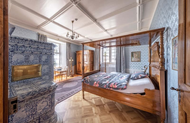 Historic castle estate of exceptional rarity (3)