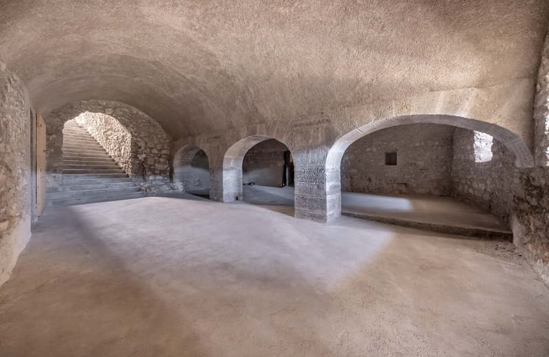 Historic castle estate of exceptional rarity (6)
