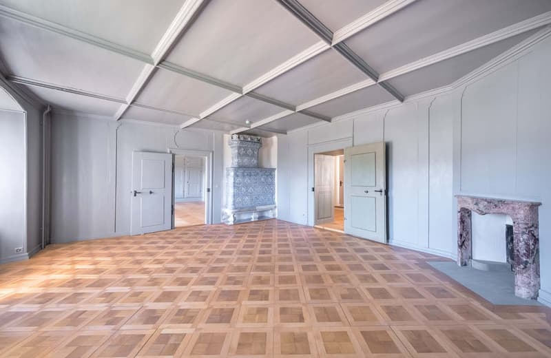 Historic castle estate of exceptional rarity (9)