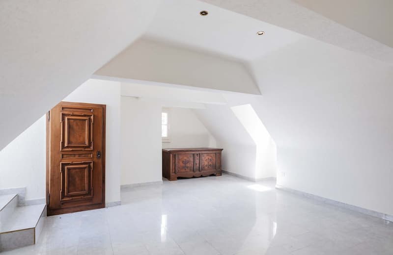 «Le Prince» – Historic Residential and Commercial Building in Prime Rhine Location in Basel (8)