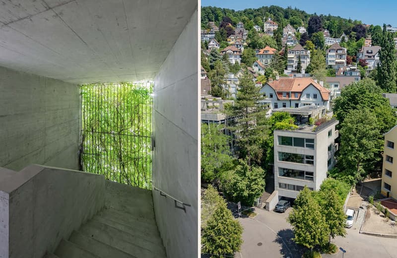 Urban living between city center and Zürichberg (10)