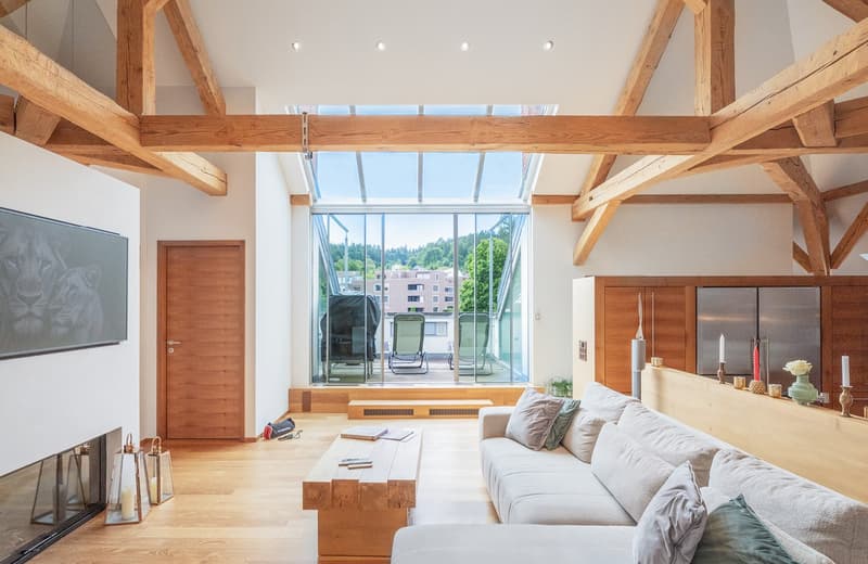 Historic villa with diverse usage possibilities (7)