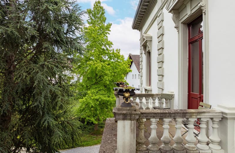 Historic villa with diverse usage possibilities (6)