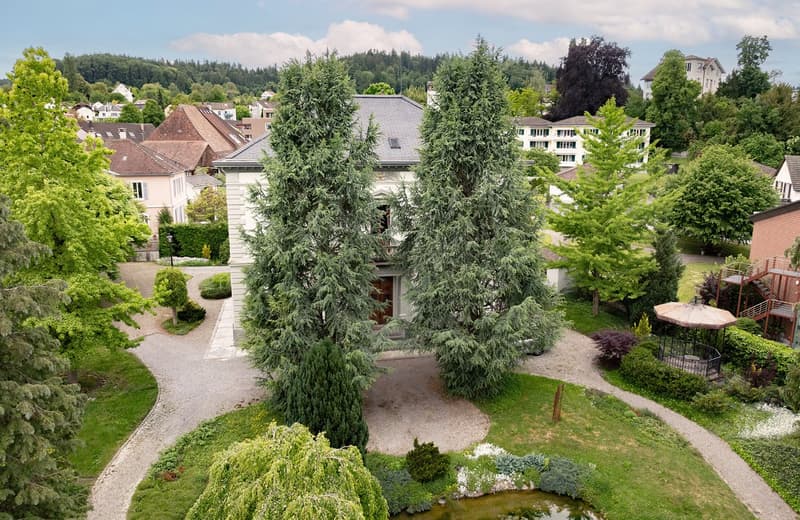 Historic villa with diverse usage possibilities (8)