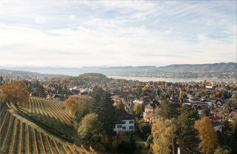Rifugio privato in una posizione ottimale su Zürichberg – su richiesta (2)