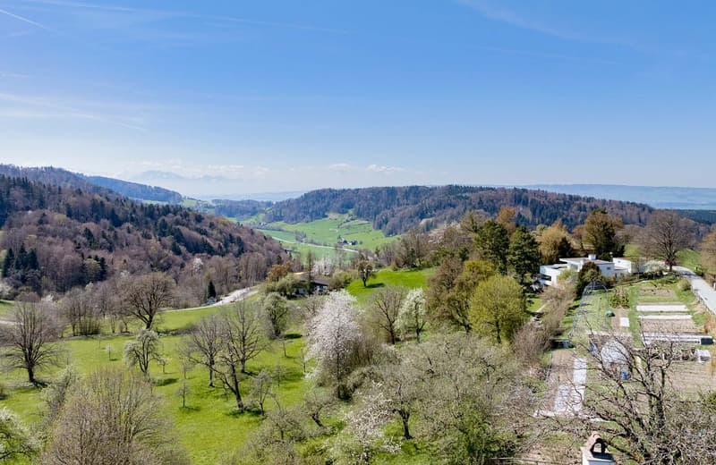 Unique residential ensemble with a far-reaching view and versatile usage potential (6)