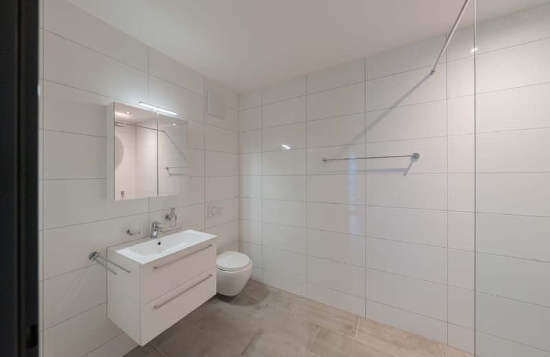 Charmantes und helles 1.5-Zimmer-Studio an ruhiger Lage (8)