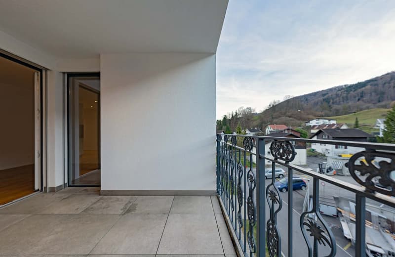 Charmantes und helles 1.5-Zimmer-Studio an ruhiger Lage (3)