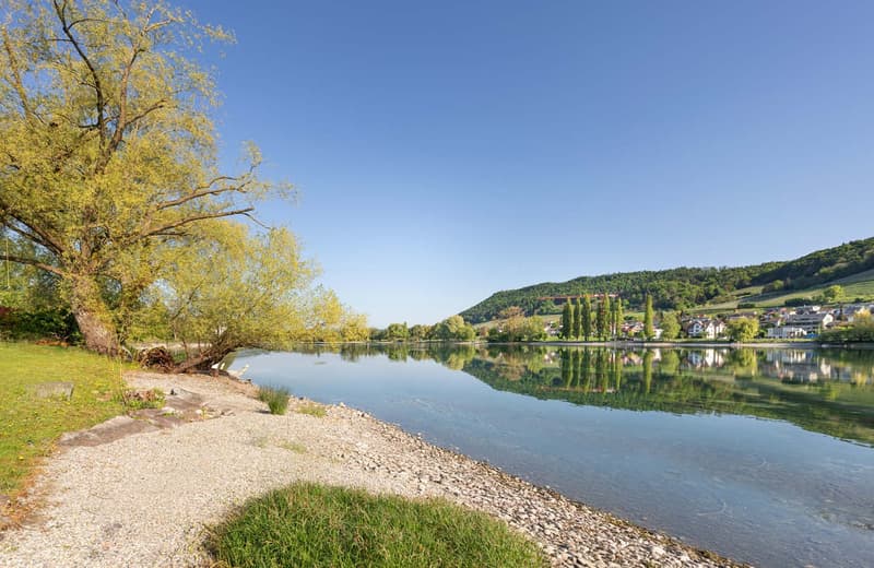 Historisches Anwesen mit Rheinanstoss und Weitblick (5)
