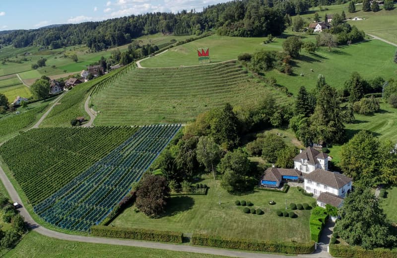Domaine Verger – Schlossartiges Anwesen in Rafz (3)