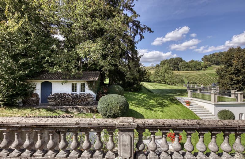 Domaine Verger – Schlossartiges Anwesen in Rafz (5)