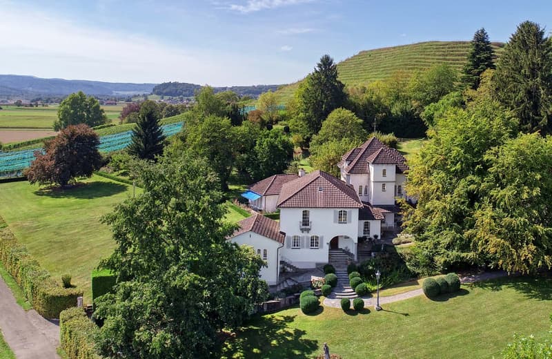 Domaine Verger – Schlossartiges Anwesen in Rafz (12)
