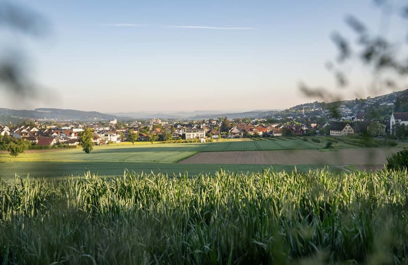 Letzte verfügbare Einheit – Loft mit 150 m² Wohnfläche und bis 4.2 m Raumhöhe (8)