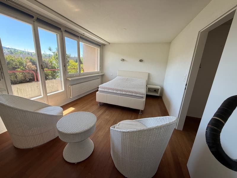 Stylish attic apartment with terrace and large variable room (3)