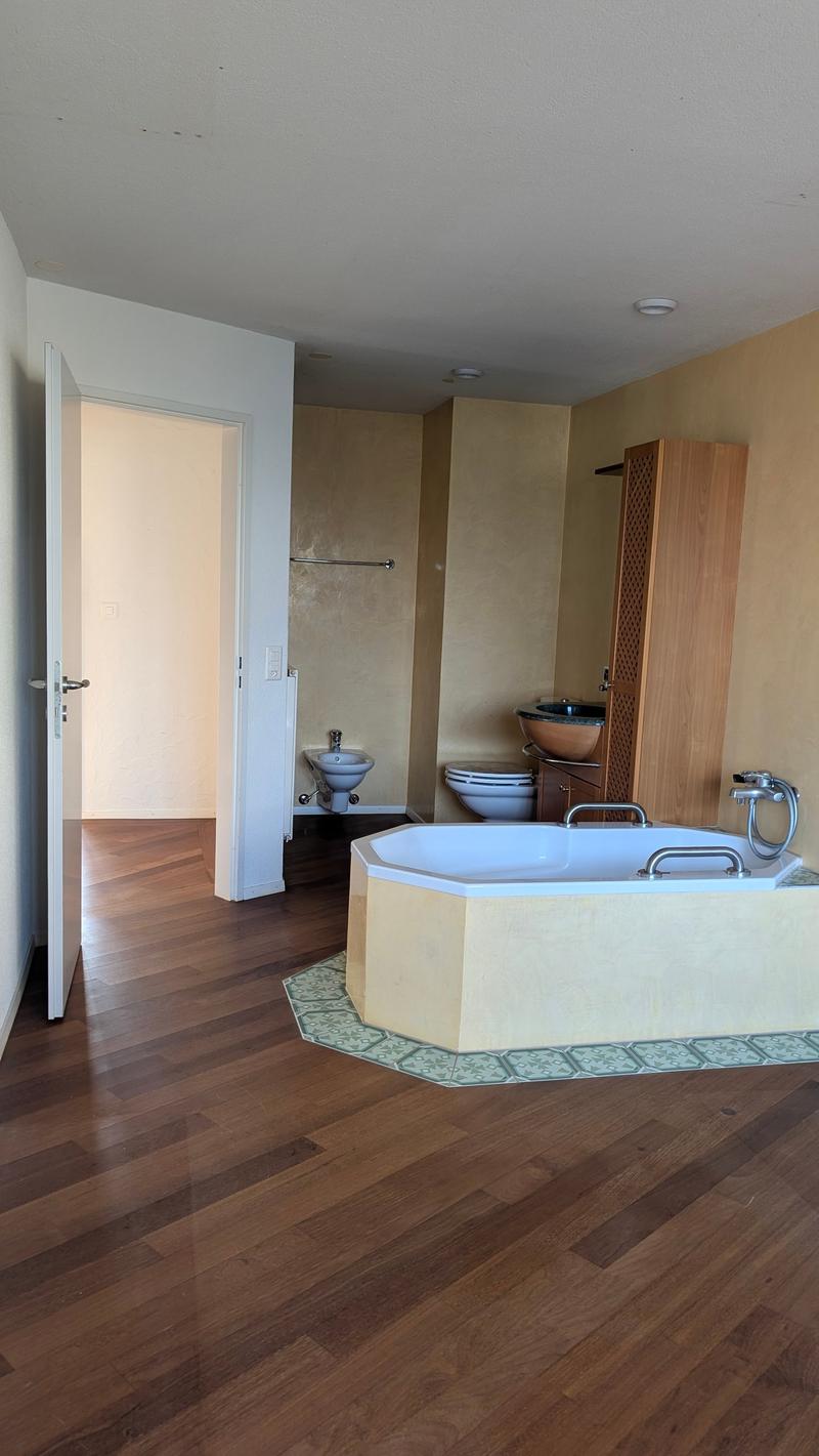 Stylish attic apartment with terrace and large variable room (4)