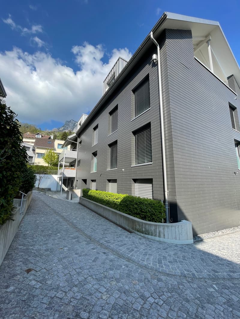 grosszügige, moderne und helle Wohnung zu vermieten (1)