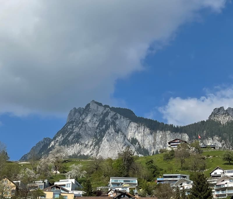 grosszügige, moderne und helle Wohnung zu vermieten (2)