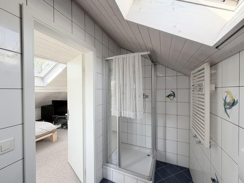 Charmantes 6.5-Zimmer-Doppeleinfamilienhaus in Grenchen (22)