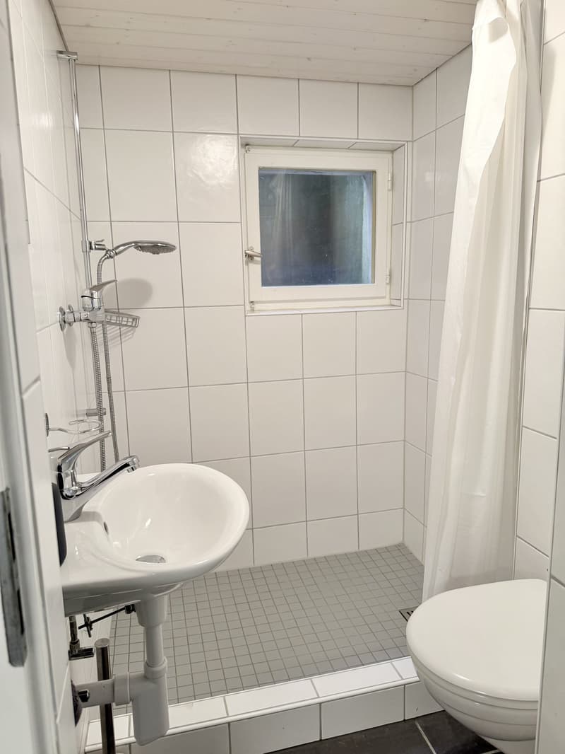 Charmantes 6.5-Zimmer-Doppeleinfamilienhaus in Grenchen (32)