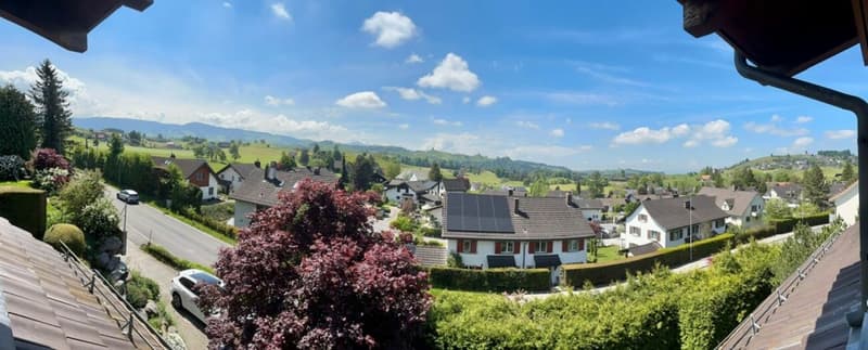 Vista panoramica sulle famose colline moreniche dell'era glaciale (2)