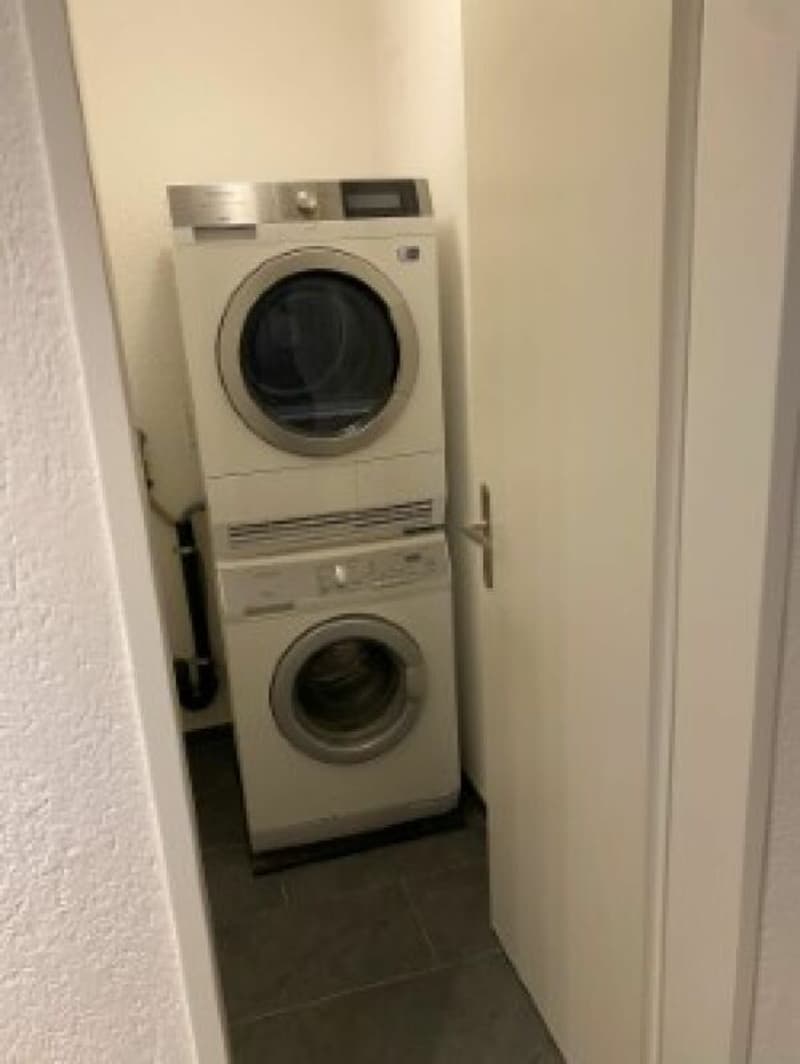 Attraktive 4.5-Zimmerwohnung mit grossem Privatgarten (5)
