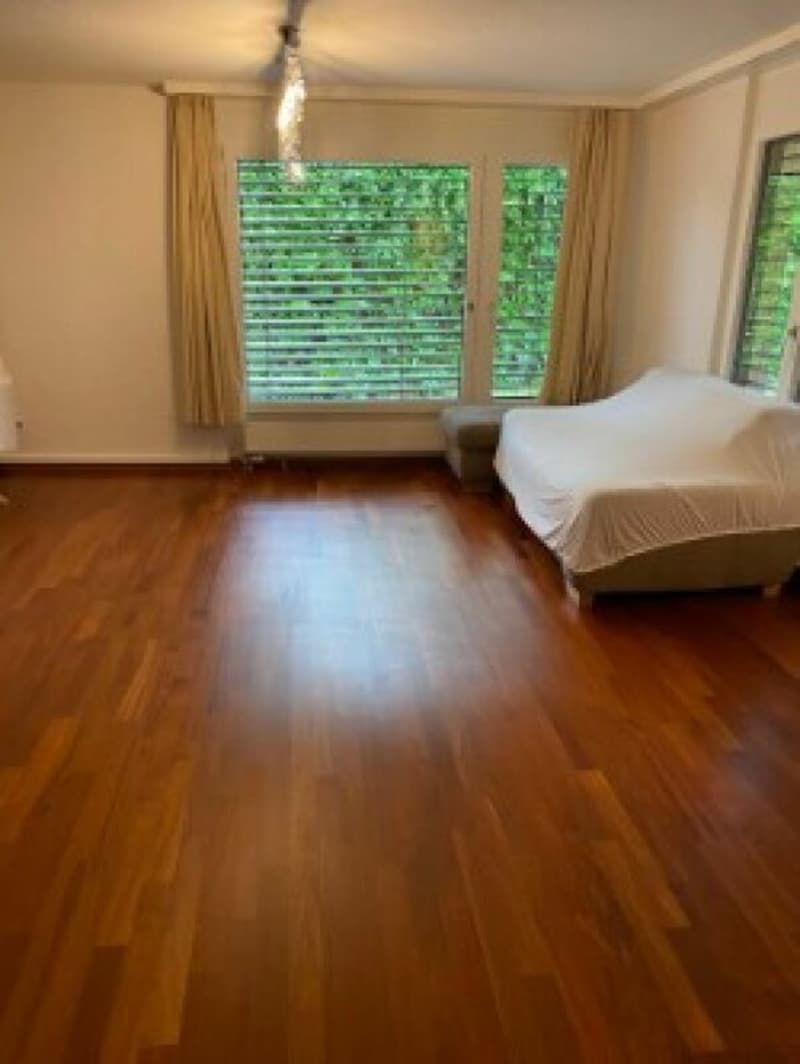 Attraktive 4.5-Zimmerwohnung mit grossem Privatgarten (3)