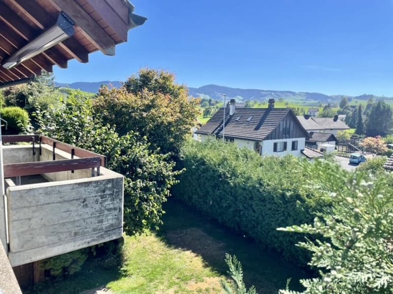 Panoramasicht über die berühmten Moränenhügeln der Eiszeit (12)