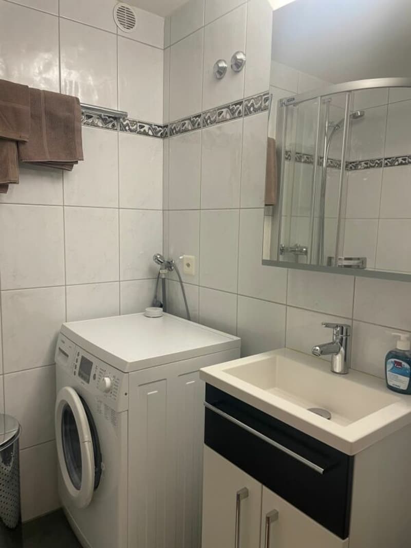 Gemütliche möblierte Studiowohnung im Steuerparadies Kopie (6)