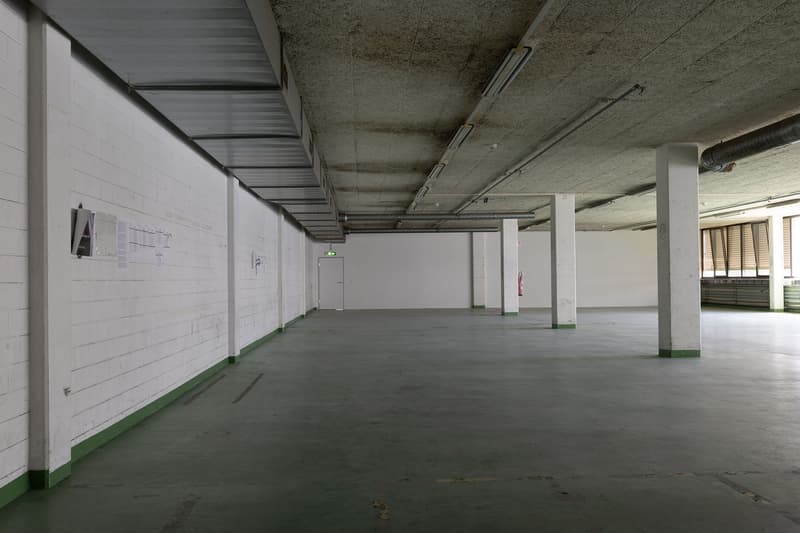 attachment:c26dfec5 1e79 454e 98ae e705a91fb474:20260526 ImmoAtelier Reinach Shootingphoto 123238