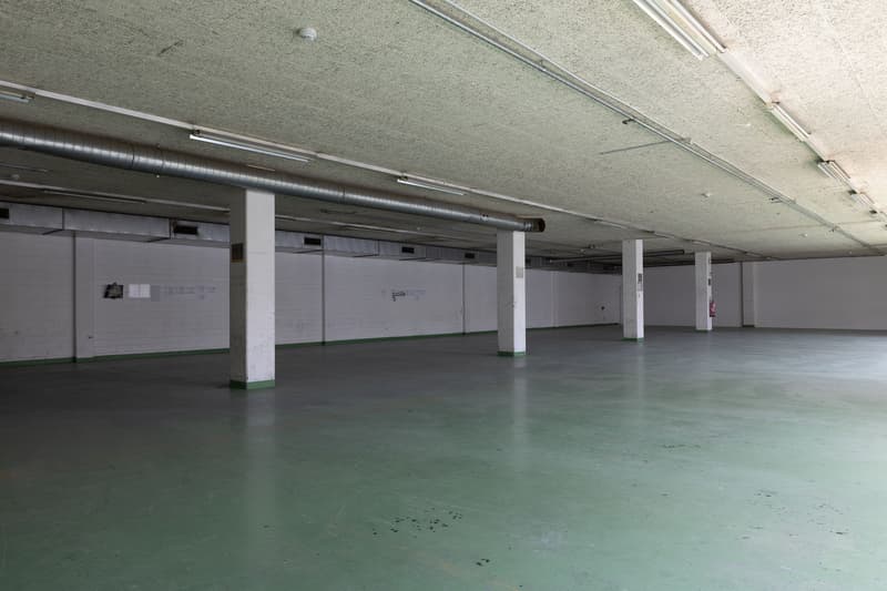 attachment:d7650867 12bd 435d 9637 d9859df71803:20260526 ImmoAtelier Reinach Shootingphoto 123316