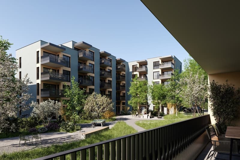 Primo affitto di spazi commerciali | Edificio residenziale DOMUM Tagelswangen (5)