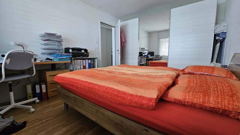 DOMUM Wetzikon Obstgarten Residential Development | Multi-Generational Houses with Community Coach, Fitness Studio, and More (7)