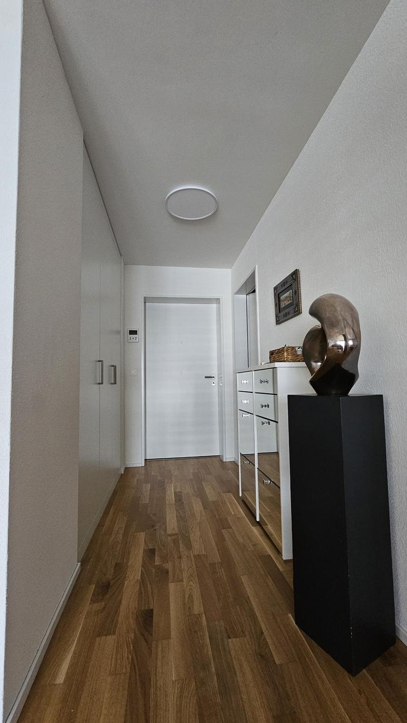 DOMUM Wetzikon Obstgarten Residential Development | Multi-Generational Houses with Community Coach, Fitness Studio, and More (8)