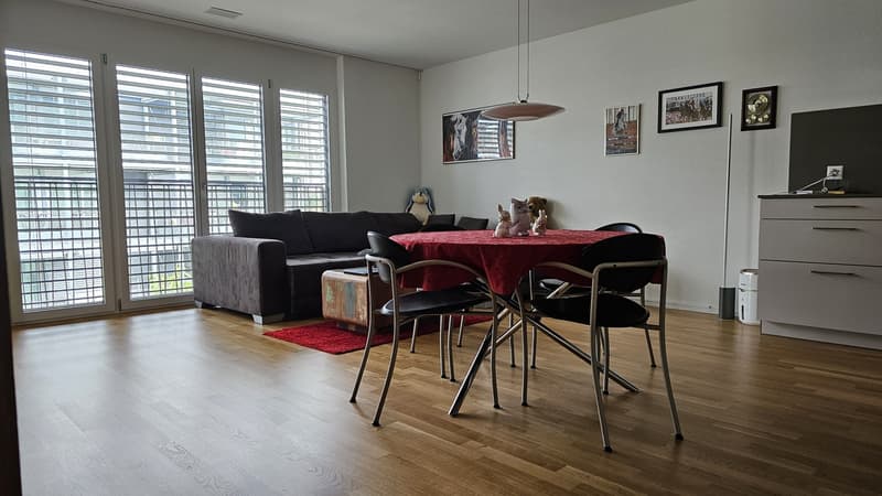 DOMUM Wetzikon Obstgarten Residential Development | Multi-Generational Houses with Community Coach, Fitness Studio, and More (4)