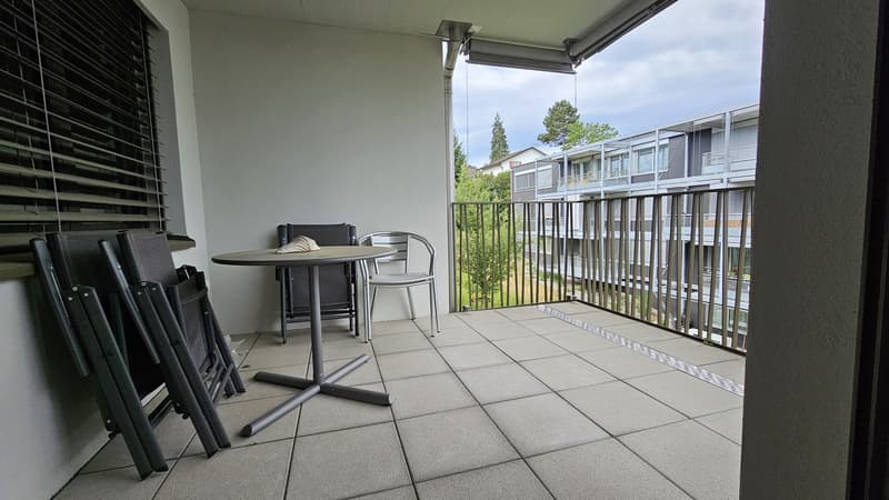 DOMUM Wetzikon Obstgarten Residential Development | Multi-Generational Houses with Community Coach, Fitness Studio, and More (9)