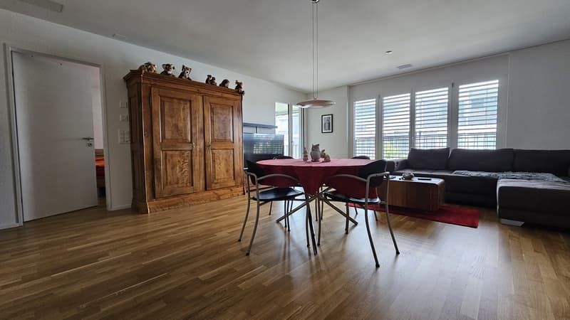 DOMUM Wetzikon Obstgarten Residential Development | Multi-Generational Houses with Community Coach, Fitness Studio, and More (3)