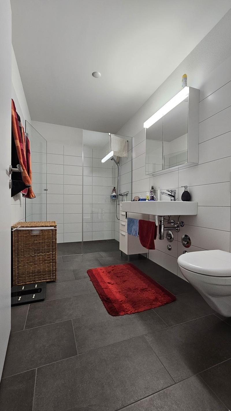 DOMUM Wetzikon Obstgarten Residential Development | Multi-Generational Houses with Community Coach, Fitness Studio, and More (5)