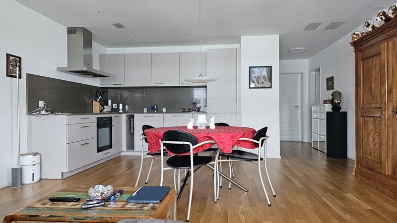 DOMUM Wetzikon Obstgarten Residential Development | Multi-Generational Houses with Community Coach, Fitness Studio, and More (2)