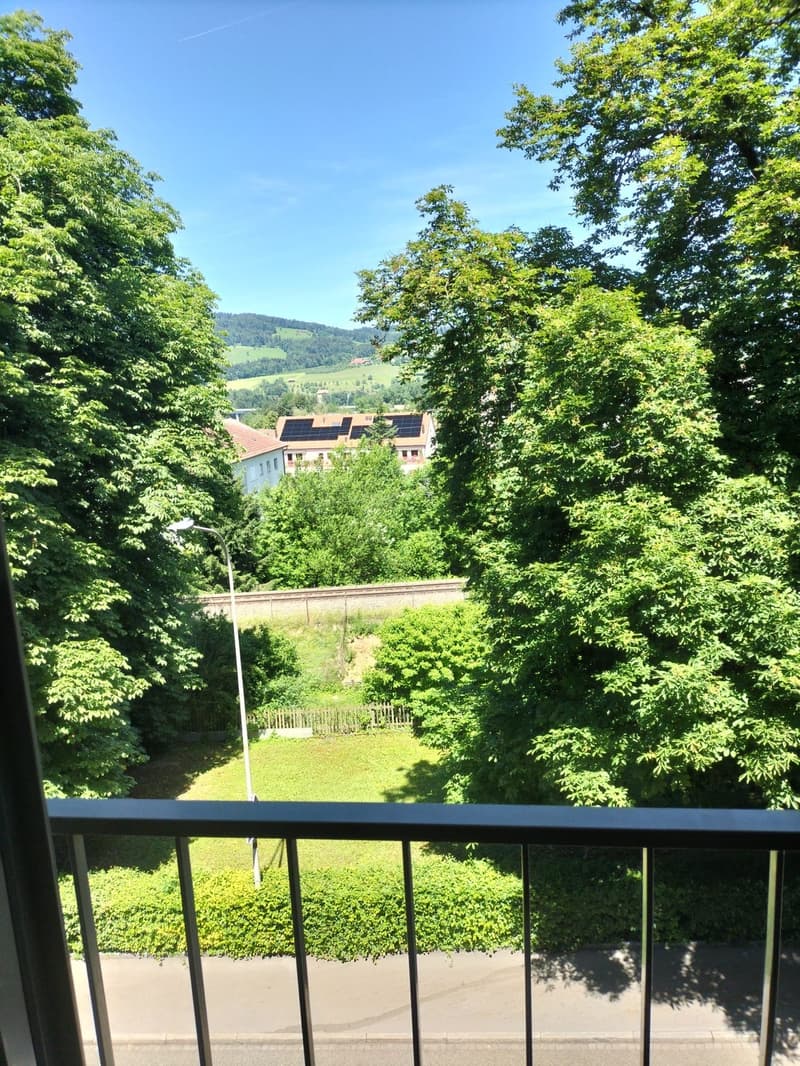 DOMUM St. Gallen Residential Building | Multi-Generation House with Settlement Coach, Fitness Studio, and More (12)