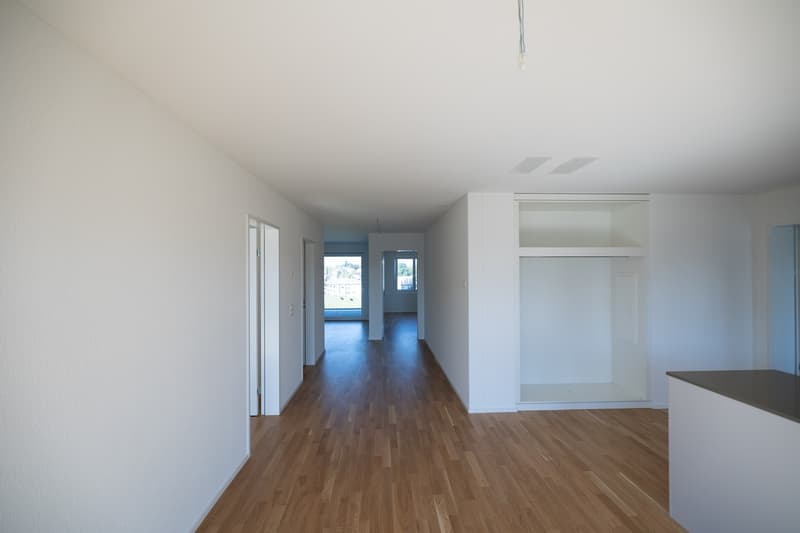 DOMUM Wetzikon Obstgarten Residential Building | Multi-Generation Houses with Settlement Coach, Fitness Studio, and More (5)