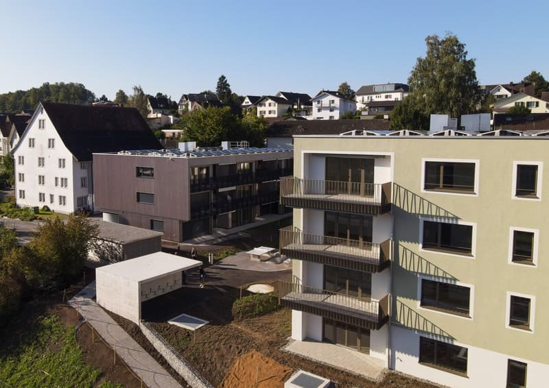 DOMUM Wetzikon Obstgarten Residential Building | Multi-Generation Houses with Settlement Coach, Fitness Studio, and More (1)