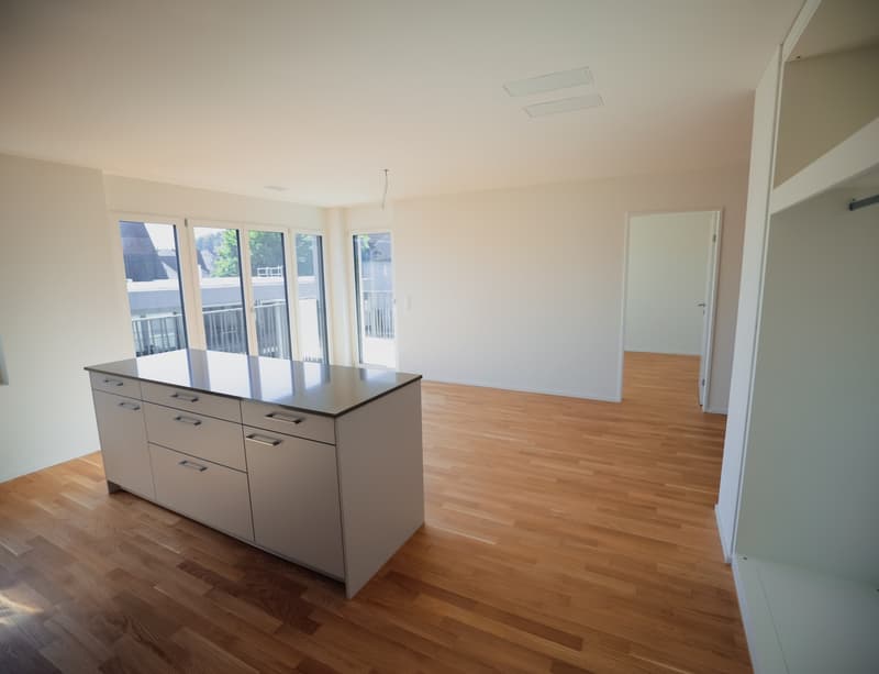 DOMUM Wetzikon Obstgarten Residential Building | Multi-Generation Houses with Settlement Coach, Fitness Studio, and More (3)