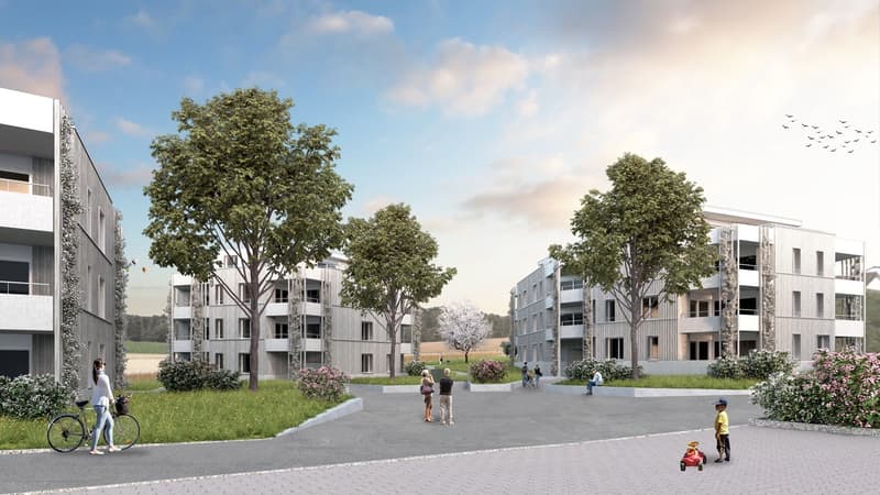 Complesso residenziale DOMUM Winterthur | Case multi-generazionali con coach di comunità, palestra e molto altro (1)