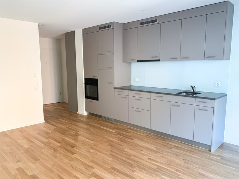 DOMUM St. Gallen Residential Development | Multi-Generational House with Settlement Coach, Fitness Studio, and More (2)