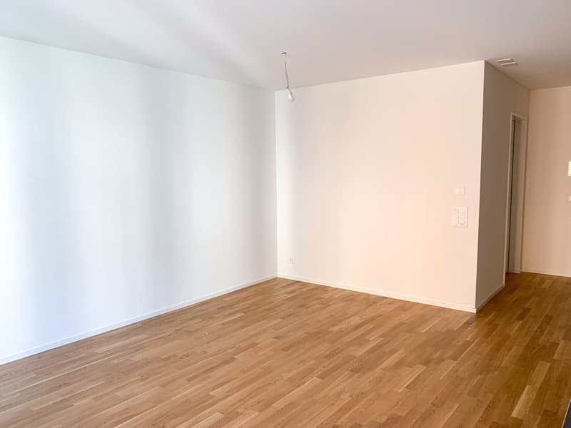 DOMUM St. Gallen Residential Development | Multi-Generational House with Settlement Coach, Fitness Studio, and More (4)